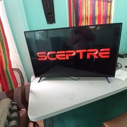 ScePTRE 44" NEW TV ONLY $95