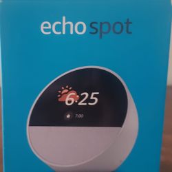 Echo Spot
