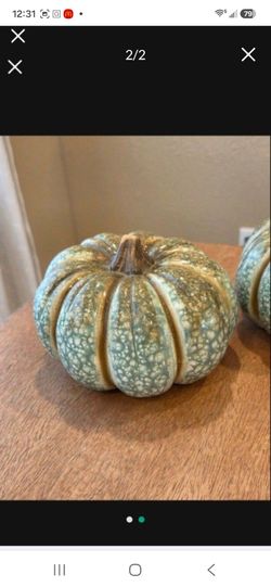 Pumpkins Decorations Roger's Gardens
