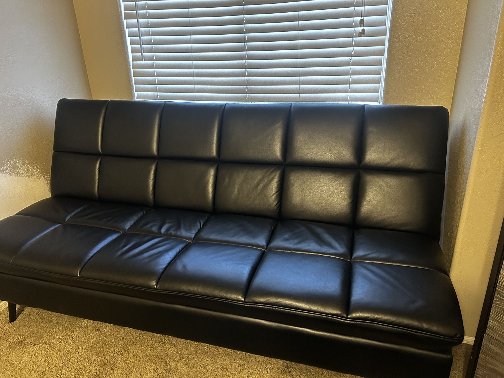 Futon (Sam’s Club Convertible Sofa)