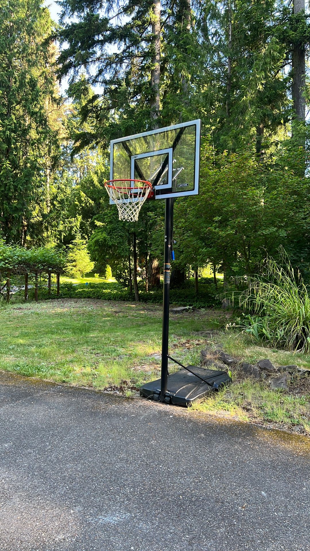 Lifetime Portable Basketball Hoop