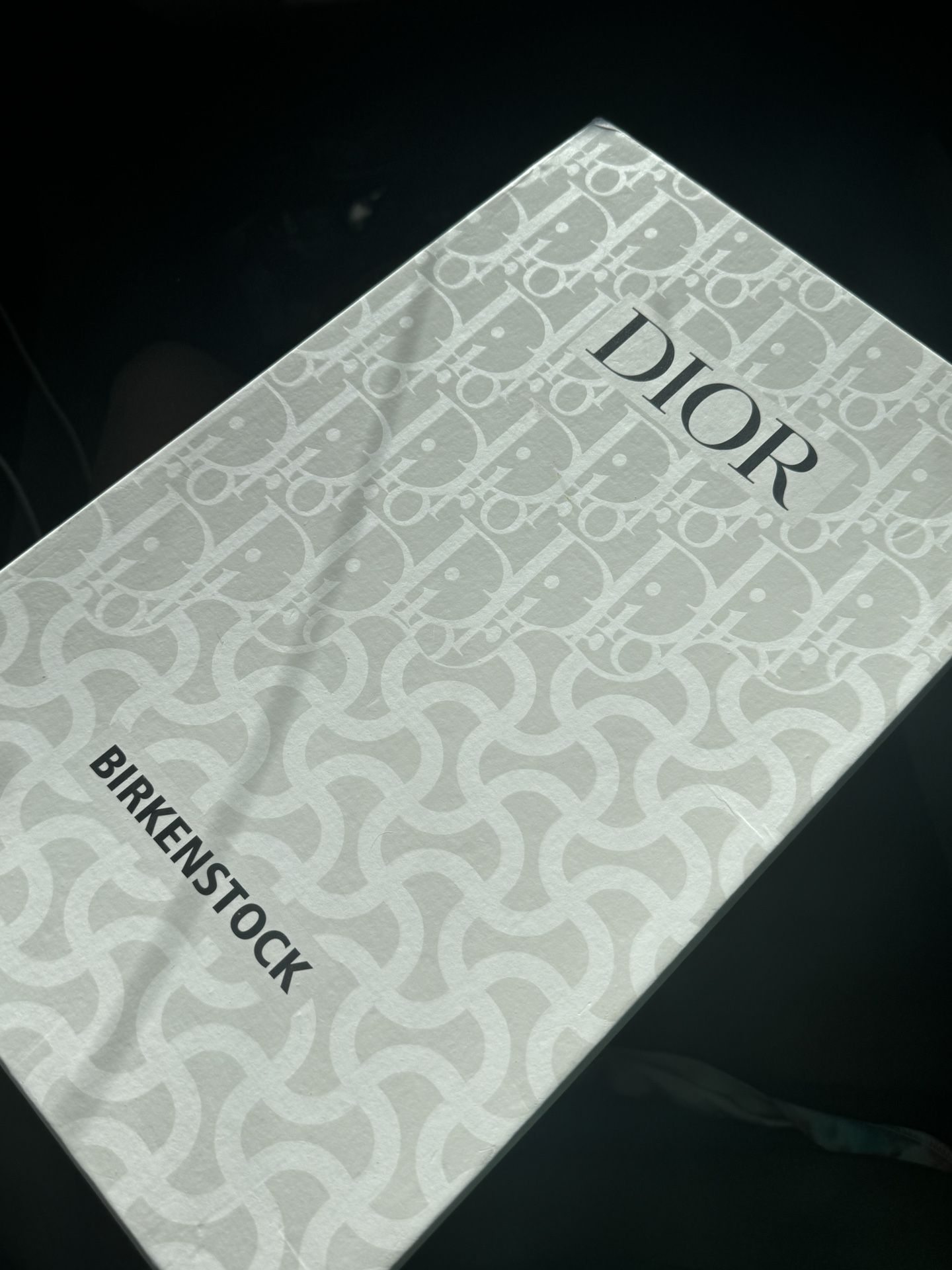 Dior Birkenstocks 