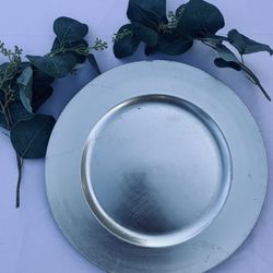 Silver Charger Plates