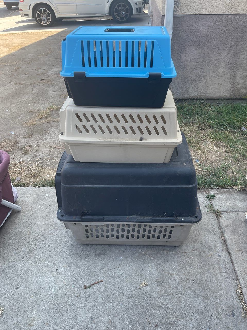 Animal Carriers