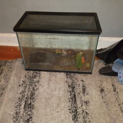 Tortuga Contigo Pesera