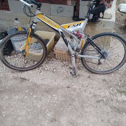 Mountain Bike Needs Work 