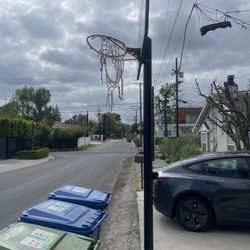 Lifetime 54 Inch Basketball Hoop