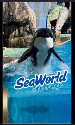 Seaworld San Diego hard tickets (good for any day)