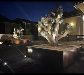 JOSHUA TREES AND CACTI