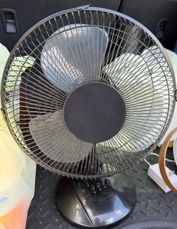 Fan