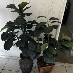 Artificial Plants