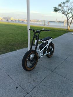 Panthro ebike