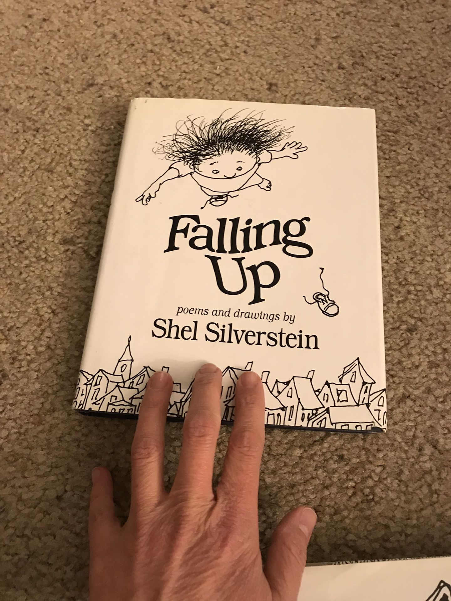 Falling up book