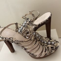 Coach Size 7US  Brown   High Heel Snakeskin Shoes