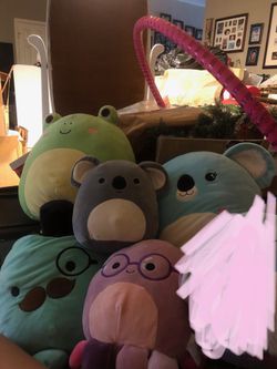 Squishmallow Lot