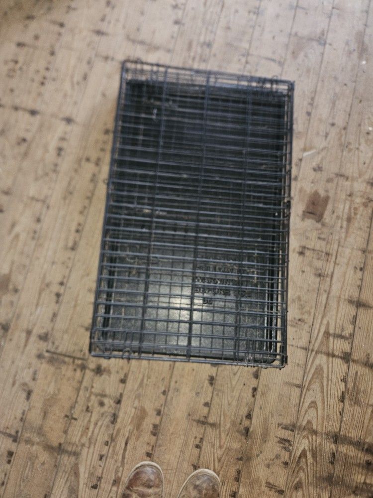 Large dog crate