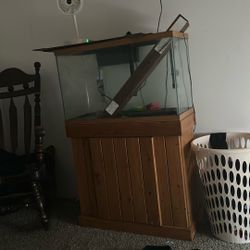 50 Gallon Fish Tank 