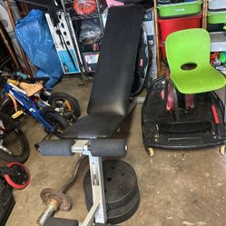 New Workout Bench $50 