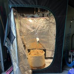 Grow Tent, Grow Light, Fans, And More (Full Setup)