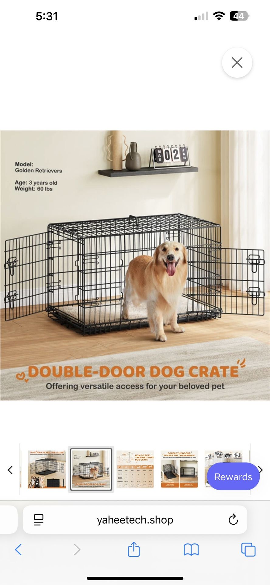 Dog Crate Size XL
