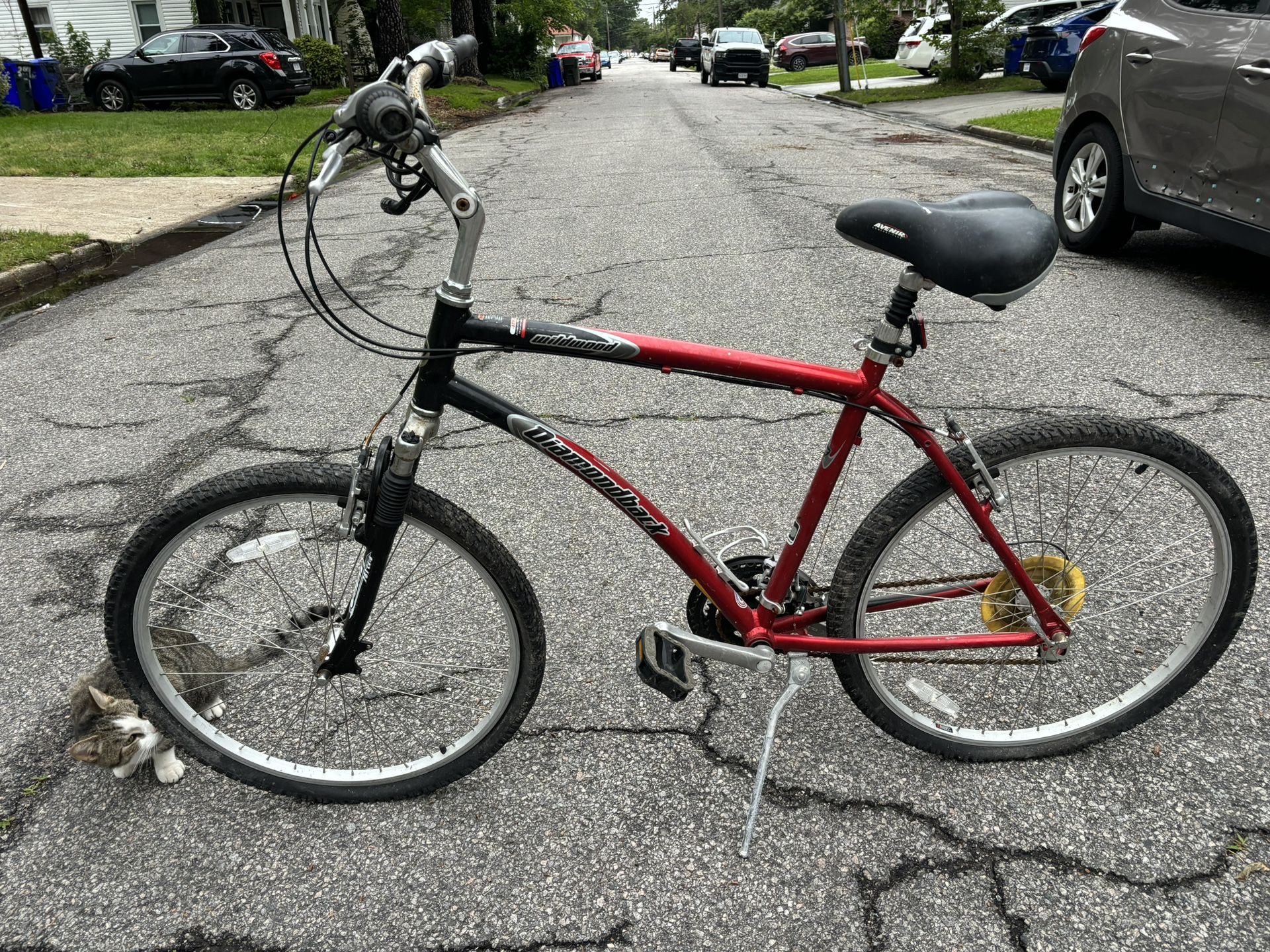 Bicycle