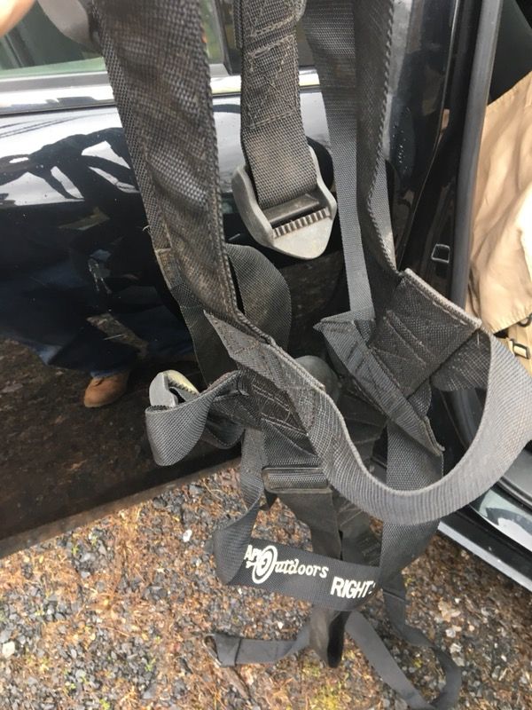 Safety harness
