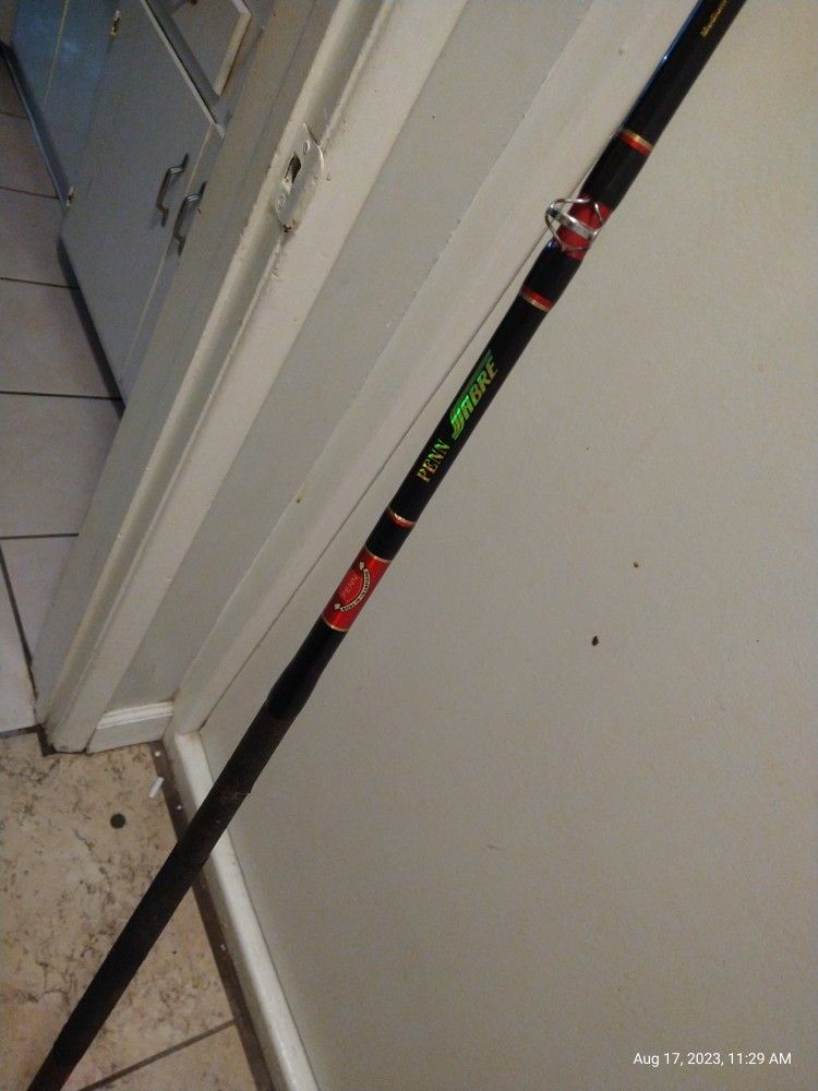 Penn Sabre Stroker Conventional Fishing Rod