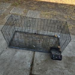 Cage