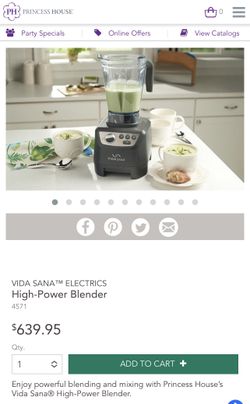 Princess House Blender