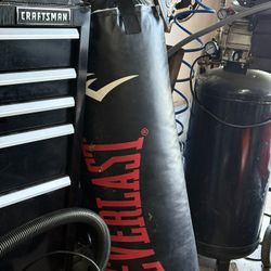 Punching Bag