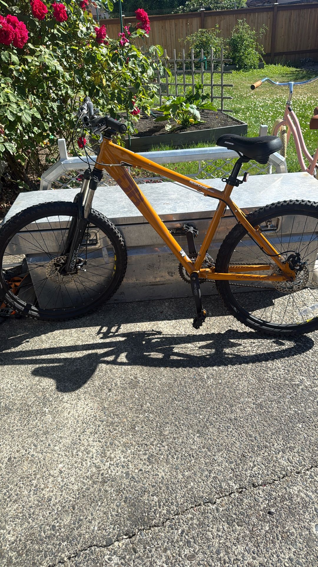 Bike For Sale