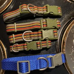 Extra large, large, medium, small dog collars Six dollars each