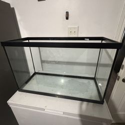 Glass Aquarium Tank