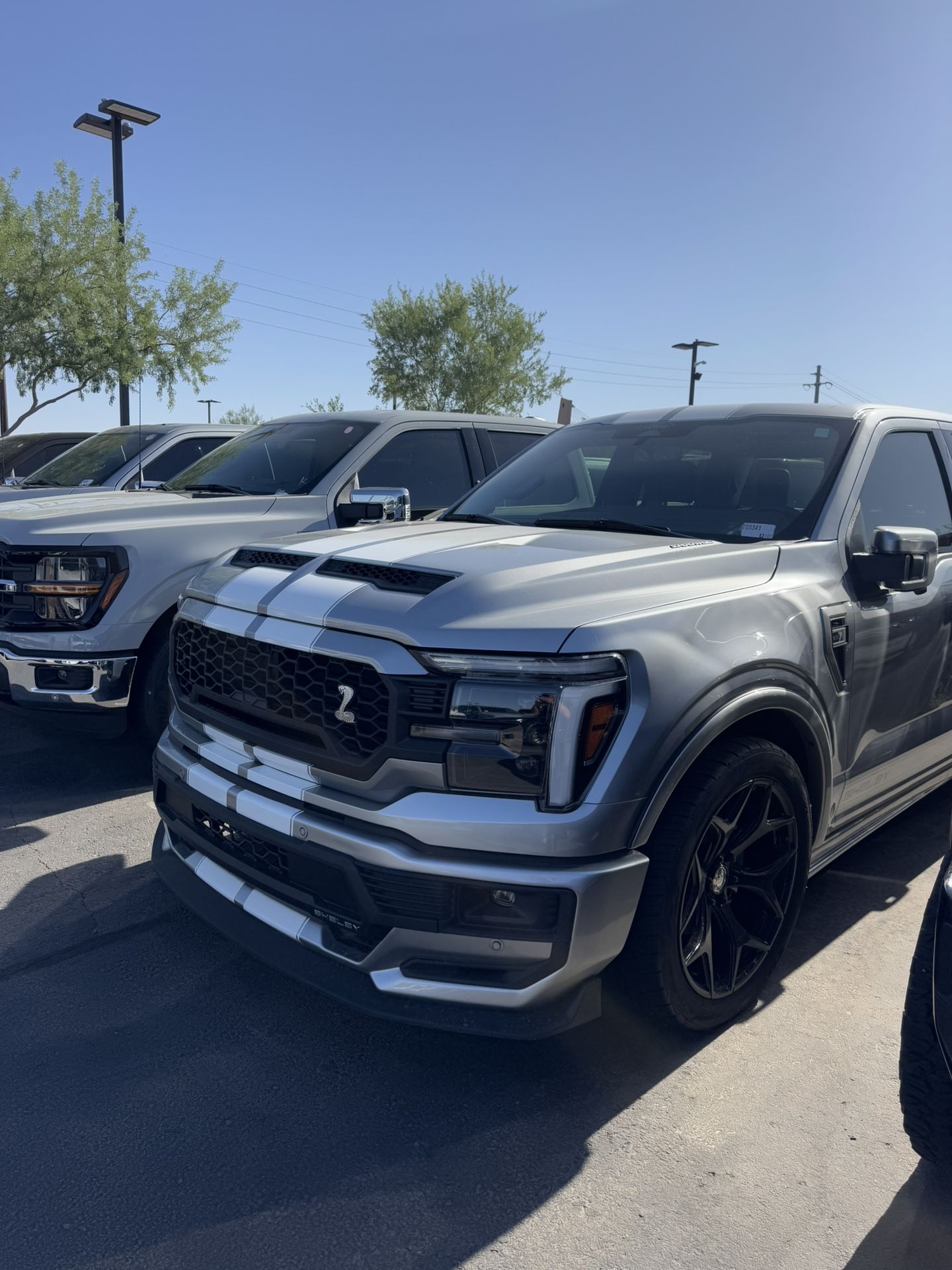 Shelby’s For Sale!