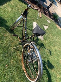 Bike Schwann traveler