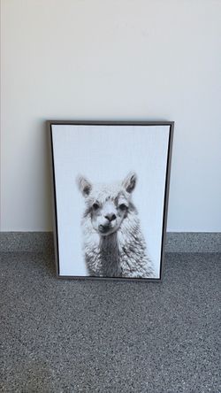 A thinking llama