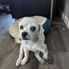 Jakob