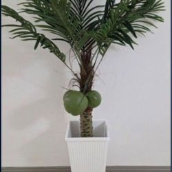 *** NEW LOW PRICE *** 5ft Faux Coconut Palm in a 24In White Square Planter @ Lasting Creations