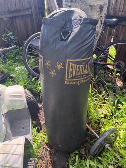 Everlast Heavy Punching Bag