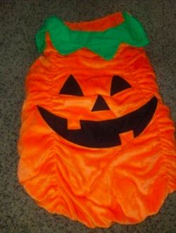 Pet costume