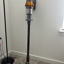Dyson V 15