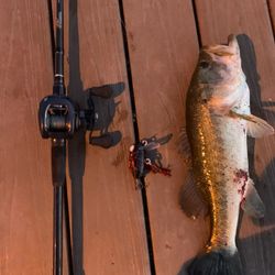 Pheonix Feather 7’7” XHeavy 