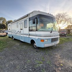 1996 National Dolphin