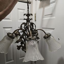 Frosted Tulip Silver Inalid Hanging Brass Lamp