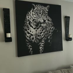 Large Black & White leopard  