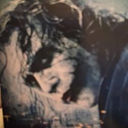 THE DARK KNIGHT 2 DISC BLU RAY