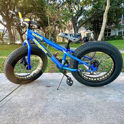 Fat bike used for sale best sale