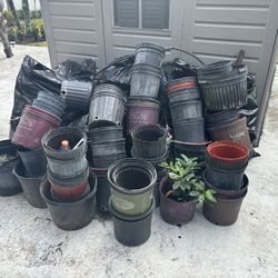 Pots