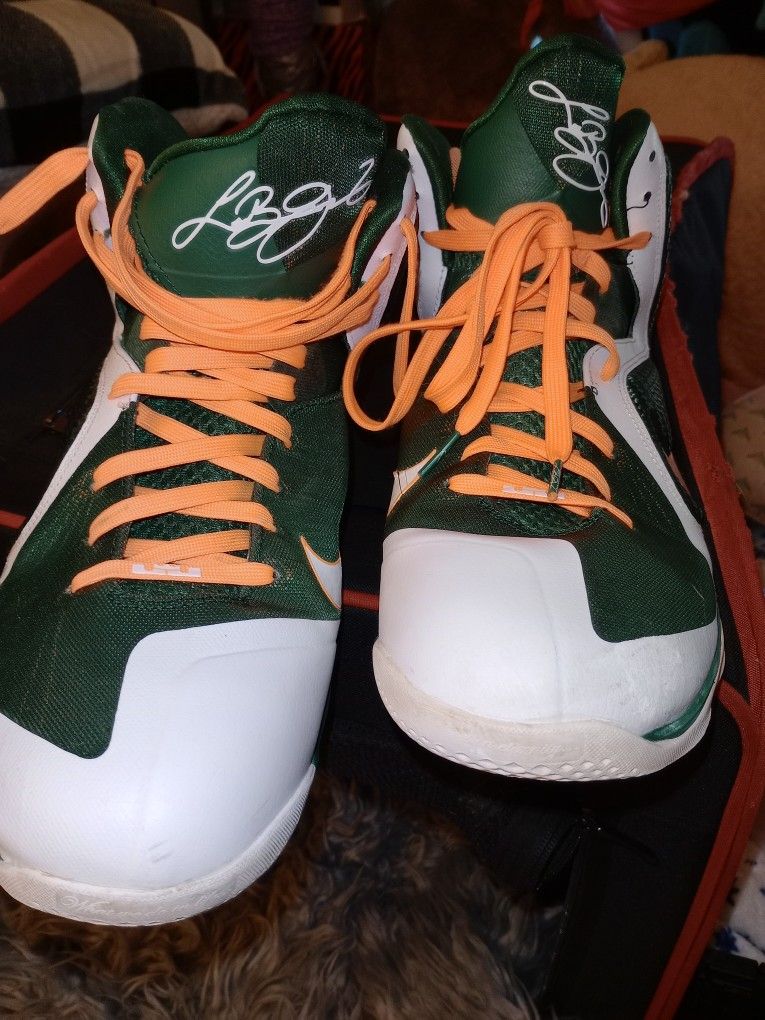 Labrons. James /Nike