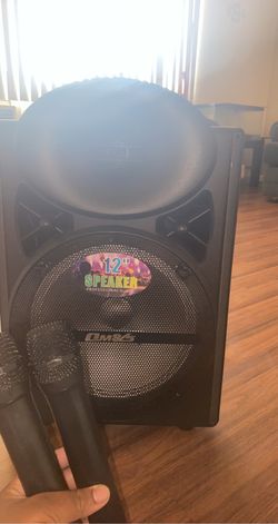 12” speaker with 2 microphones